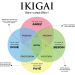 pourquoi l'ikigai ne fonctionne pas